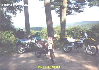 Pine Hill Vista