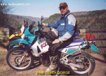 Pine Creek Gorge